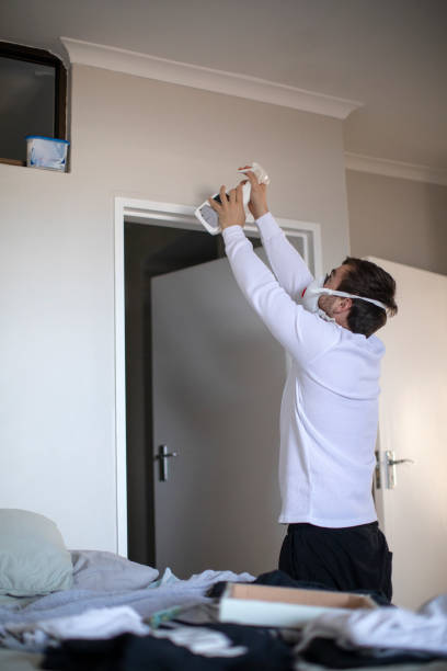 Best Black Mold Removal  in Trowbridge Park, MI