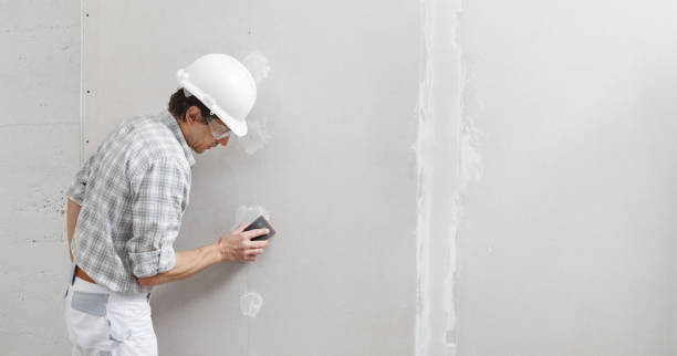  Trowbridge Park, MI Mold Removal Pros