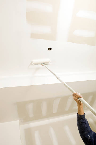 Best Basement Mold Removal  in Trowbridge Park, MI
