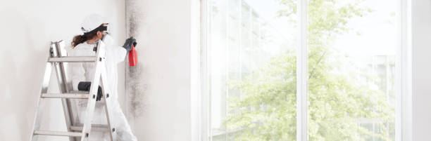 Trowbridge Park, MI Mold Removal Company