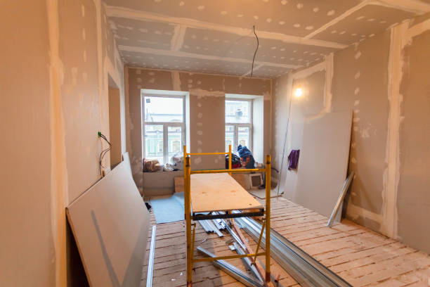 Best Attic Mold Removal  in Trowbridge Park, MI
